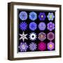 Big Collection of Various Blue Pattern Flowers-tr3gi-Framed Art Print