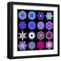 Big Collection of Various Blue Pattern Flowers-tr3gi-Framed Art Print