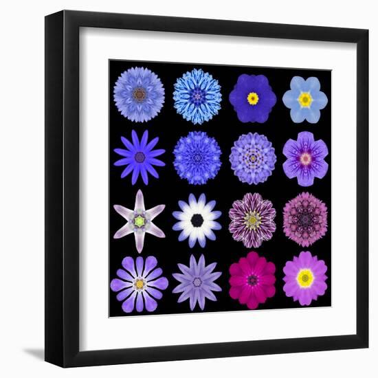 Big Collection of Various Blue Pattern Flowers-tr3gi-Framed Art Print