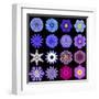 Big Collection of Various Blue Pattern Flowers-tr3gi-Framed Art Print