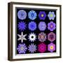 Big Collection of Various Blue Pattern Flowers-tr3gi-Framed Art Print