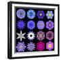 Big Collection of Various Blue Pattern Flowers-tr3gi-Framed Art Print