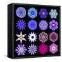 Big Collection of Various Blue Pattern Flowers-tr3gi-Framed Stretched Canvas