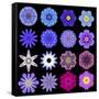 Big Collection of Various Blue Pattern Flowers-tr3gi-Framed Stretched Canvas