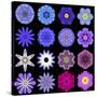 Big Collection of Various Blue Pattern Flowers-tr3gi-Stretched Canvas