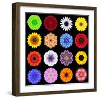 Big Collection of Various Colorful Pattern Flowers-tr3gi-Framed Art Print