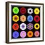 Big Collection of Various Colorful Pattern Flowers-tr3gi-Framed Art Print