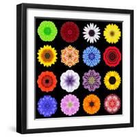 Big Collection of Various Colorful Pattern Flowers-tr3gi-Framed Art Print