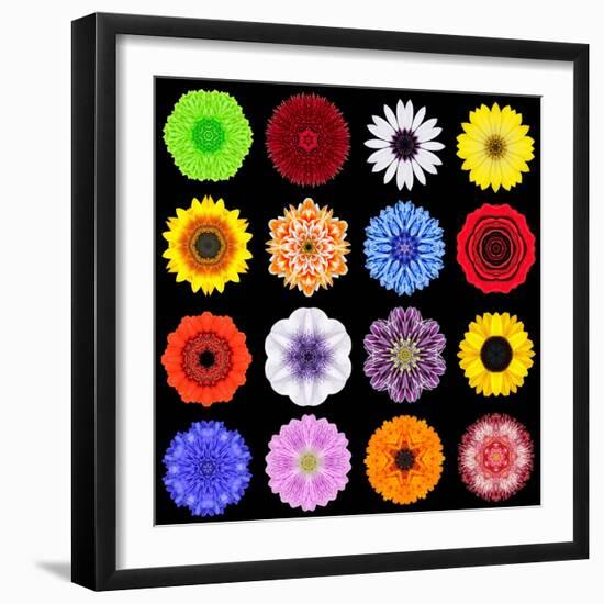 Big Collection of Various Colorful Pattern Flowers-tr3gi-Framed Art Print