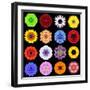 Big Collection of Various Colorful Pattern Flowers-tr3gi-Framed Art Print