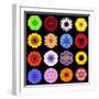 Big Collection of Various Colorful Pattern Flowers-tr3gi-Framed Art Print