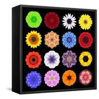 Big Collection of Various Colorful Pattern Flowers-tr3gi-Framed Stretched Canvas