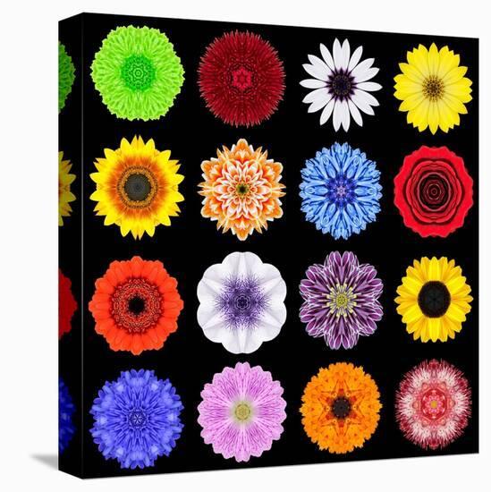 Big Collection of Various Colorful Pattern Flowers-tr3gi-Stretched Canvas