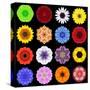 Big Collection of Various Colorful Pattern Flowers-tr3gi-Stretched Canvas