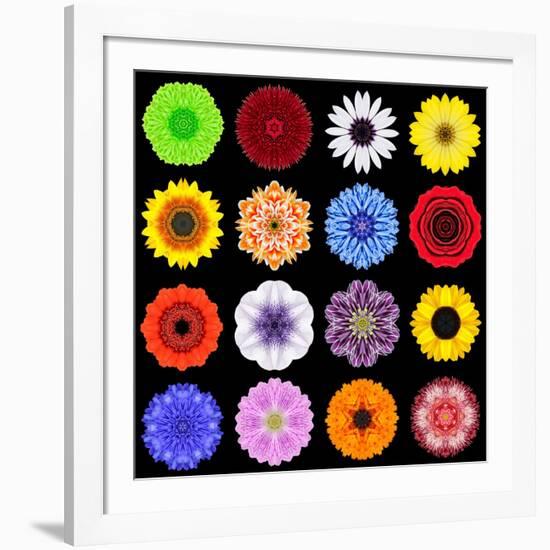 Big Collection of Various Colorful Pattern Flowers-tr3gi-Framed Art Print