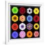 Big Collection of Various Colorful Pattern Flowers-tr3gi-Framed Art Print