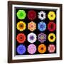 Big Collection of Various Colorful Pattern Flowers-tr3gi-Framed Art Print