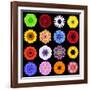 Big Collection of Various Colorful Pattern Flowers-tr3gi-Framed Art Print