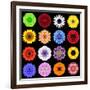 Big Collection of Various Colorful Pattern Flowers-tr3gi-Framed Art Print