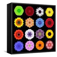 Big Collection of Various Colorful Pattern Flowers-tr3gi-Framed Stretched Canvas