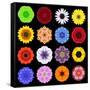 Big Collection of Various Colorful Pattern Flowers-tr3gi-Framed Stretched Canvas