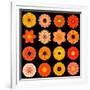 Big Collection of Various Orange Pattern Flowers-tr3gi-Framed Art Print