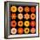 Big Collection of Various Orange Pattern Flowers-tr3gi-Framed Art Print