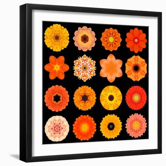 Big Collection of Various Orange Pattern Flowers-tr3gi-Framed Art Print