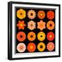 Big Collection of Various Orange Pattern Flowers-tr3gi-Framed Art Print