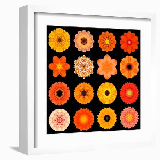 Big Collection of Various Orange Pattern Flowers-tr3gi-Framed Art Print