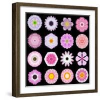 Big Collection of Various Pink Pattern Flowers-tr3gi-Framed Art Print