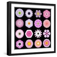 Big Collection of Various Pink Pattern Flowers-tr3gi-Framed Art Print