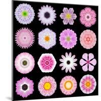 Big Collection of Various Pink Pattern Flowers-tr3gi-Mounted Art Print
