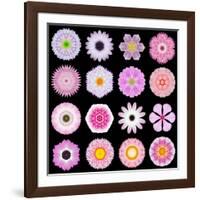 Big Collection of Various Pink Pattern Flowers-tr3gi-Framed Art Print