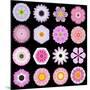 Big Collection of Various Pink Pattern Flowers-tr3gi-Mounted Art Print