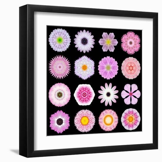 Big Collection of Various Pink Pattern Flowers-tr3gi-Framed Art Print