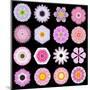 Big Collection of Various Pink Pattern Flowers-tr3gi-Mounted Art Print