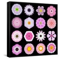 Big Collection of Various Pink Pattern Flowers-tr3gi-Framed Stretched Canvas