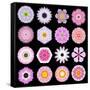 Big Collection of Various Pink Pattern Flowers-tr3gi-Framed Stretched Canvas