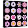 Big Collection of Various Pink Pattern Flowers-tr3gi-Stretched Canvas