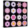Big Collection of Various Pink Pattern Flowers-tr3gi-Stretched Canvas