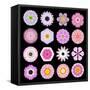 Big Collection of Various Pink Pattern Flowers-tr3gi-Framed Stretched Canvas