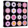 Big Collection of Various Pink Pattern Flowers-tr3gi-Stretched Canvas