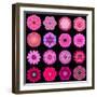 Big Collection of Various Purple Pattern Flowers-tr3gi-Framed Art Print