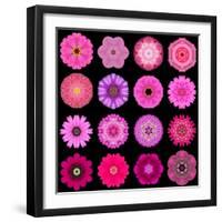 Big Collection of Various Purple Pattern Flowers-tr3gi-Framed Art Print