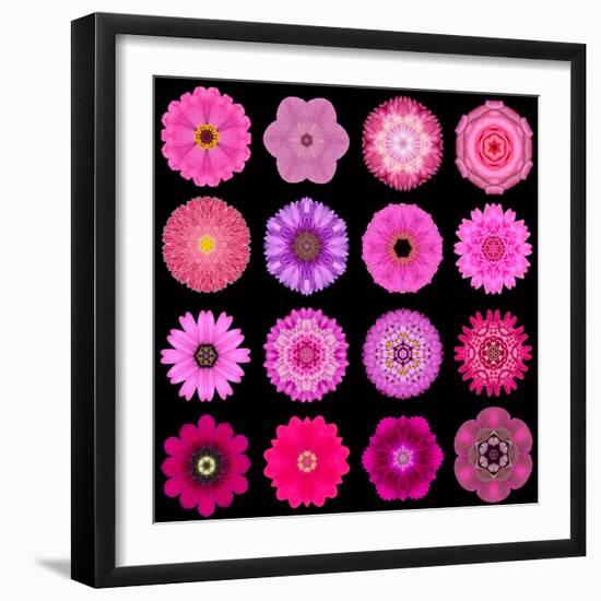 Big Collection of Various Purple Pattern Flowers-tr3gi-Framed Art Print