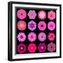 Big Collection of Various Purple Pattern Flowers-tr3gi-Framed Art Print