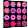 Big Collection of Various Purple Pattern Flowers-tr3gi-Mounted Art Print