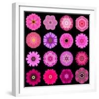 Big Collection of Various Purple Pattern Flowers-tr3gi-Framed Premium Giclee Print