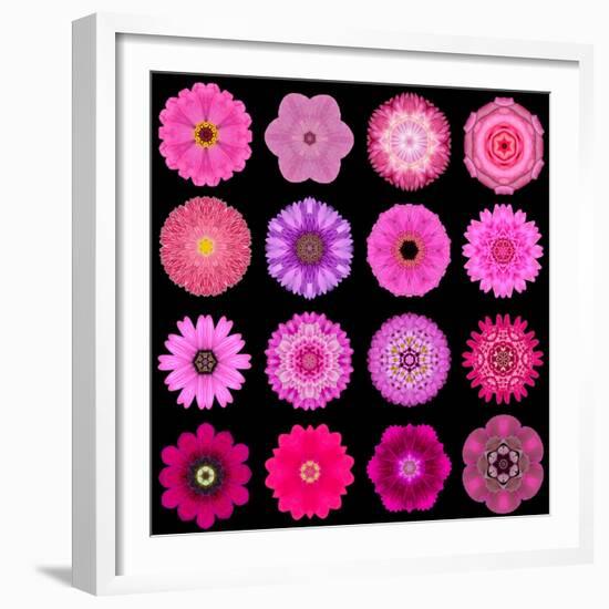 Big Collection of Various Purple Pattern Flowers-tr3gi-Framed Premium Giclee Print